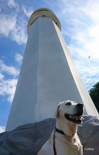 e0364056_12523257.jpg