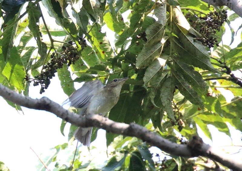 c0114159_21382677.jpg