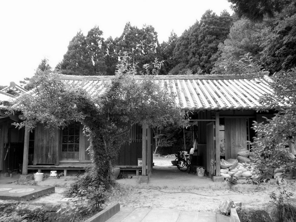 「梶原靖元・豊増一雄 二人展 唐津と有田」 唐津と有田_d0087761_14435183.jpg