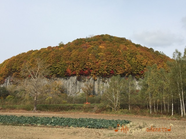 d0240961_11514722.jpeg