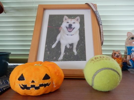 ’17,10,14(土)ささやかなハロウィーン!_f0060461_11540479.jpg