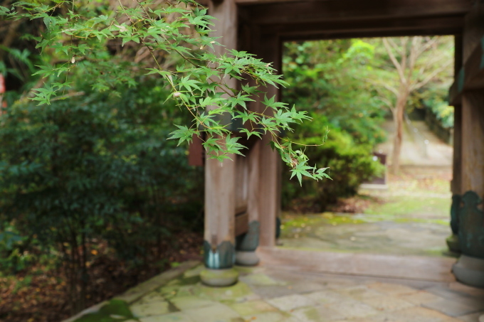 柞原八幡宮参道　南大門_d0156170_00251123.jpg