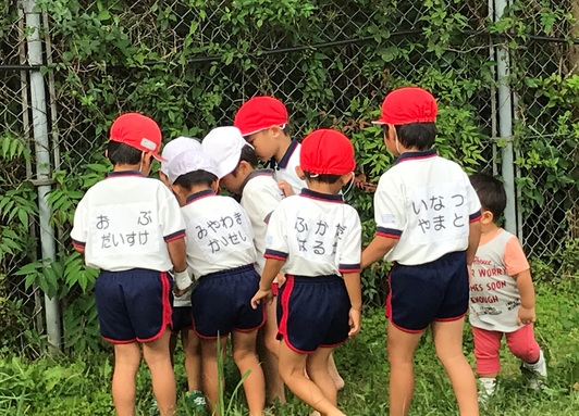 孫の運動会_b0214473_16133320.jpg