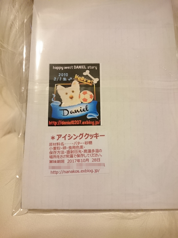 b0242873_22292019.png