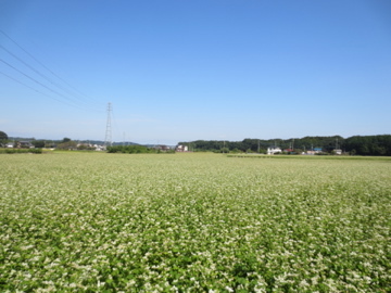 c0337875_02381747.jpg