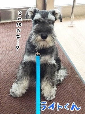 はじめまして(≧∇≦)/_f0357682_18295407.jpg