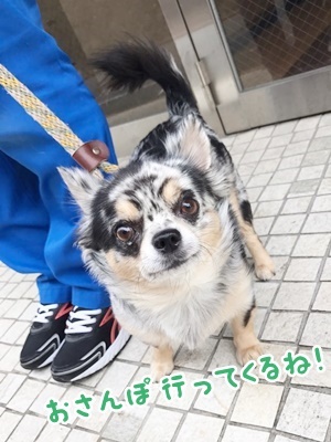はじめまして(≧∇≦)/_f0357682_18340581.jpg