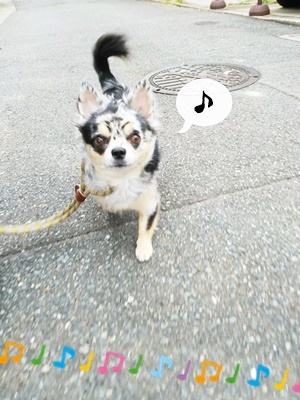 はじめまして(≧∇≦)/_f0357682_18341372.jpg