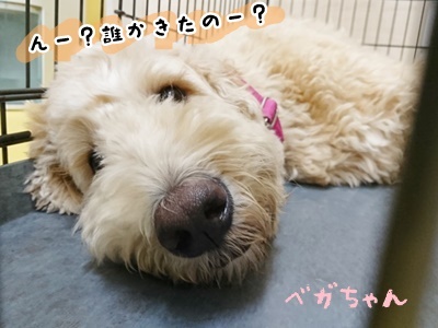はじめまして(≧∇≦)/_f0357682_18385721.jpg