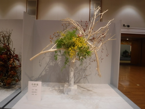 d0195183_19254091.jpeg