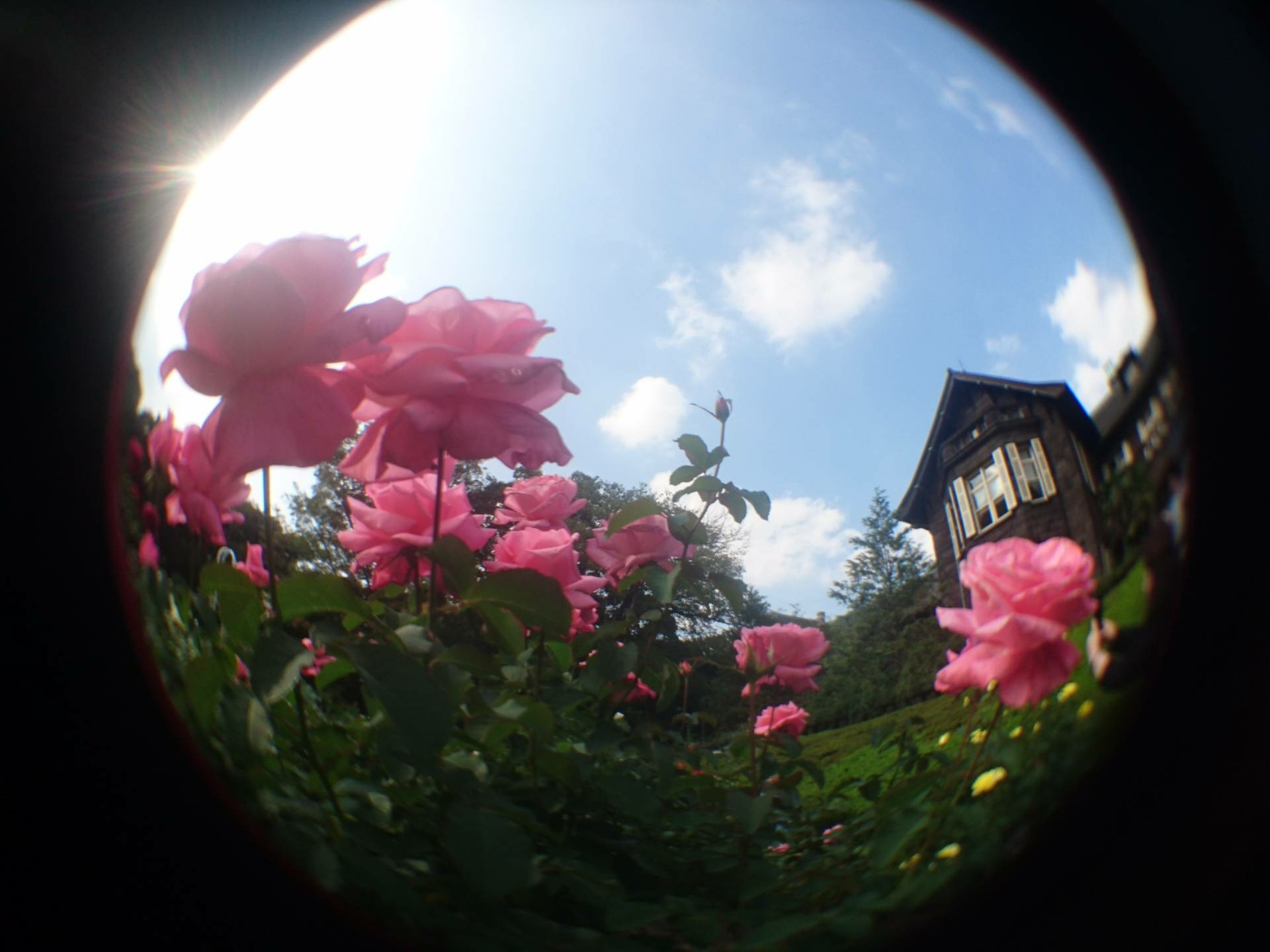 d0341483_22474874.jpg