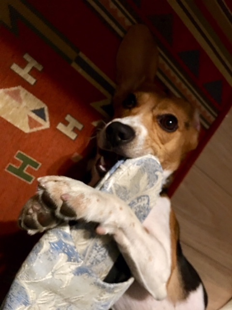 b0197486_08060453.jpeg