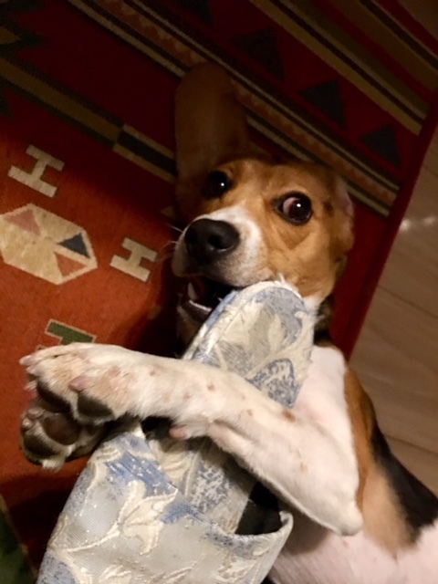 b0197486_08073812.jpeg