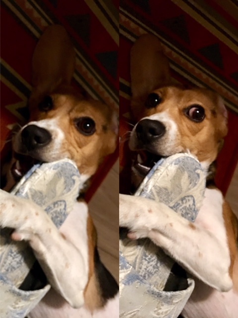 b0197486_08090200.jpeg