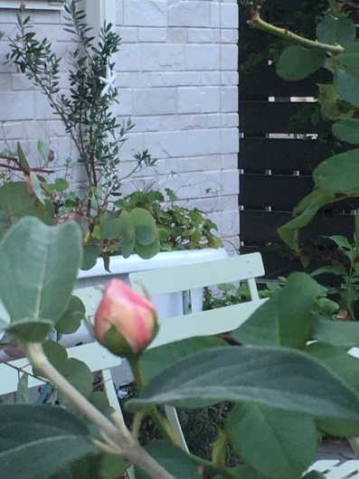 b0336787_00392500.jpeg