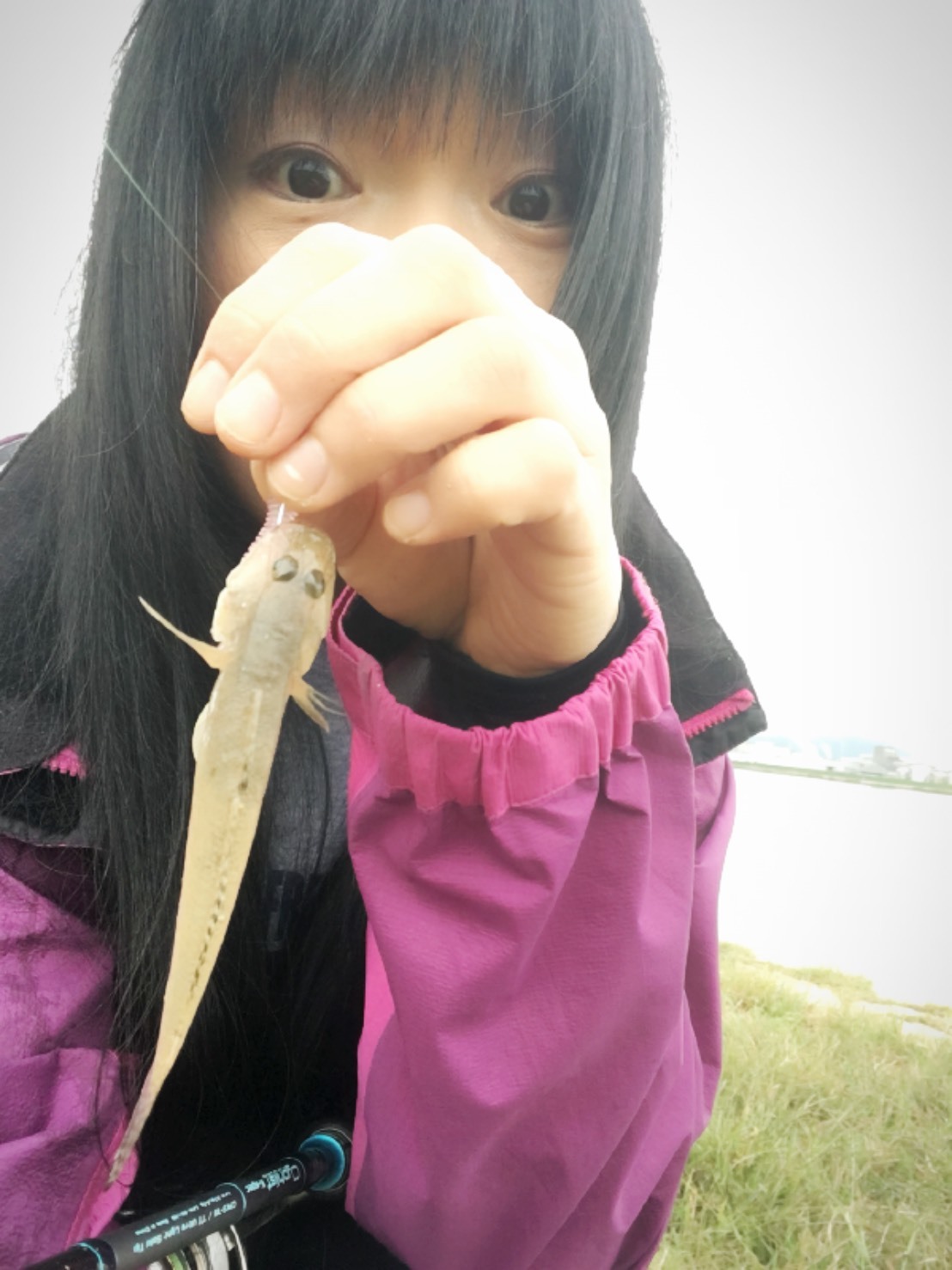 a0097491_12555050.jpeg