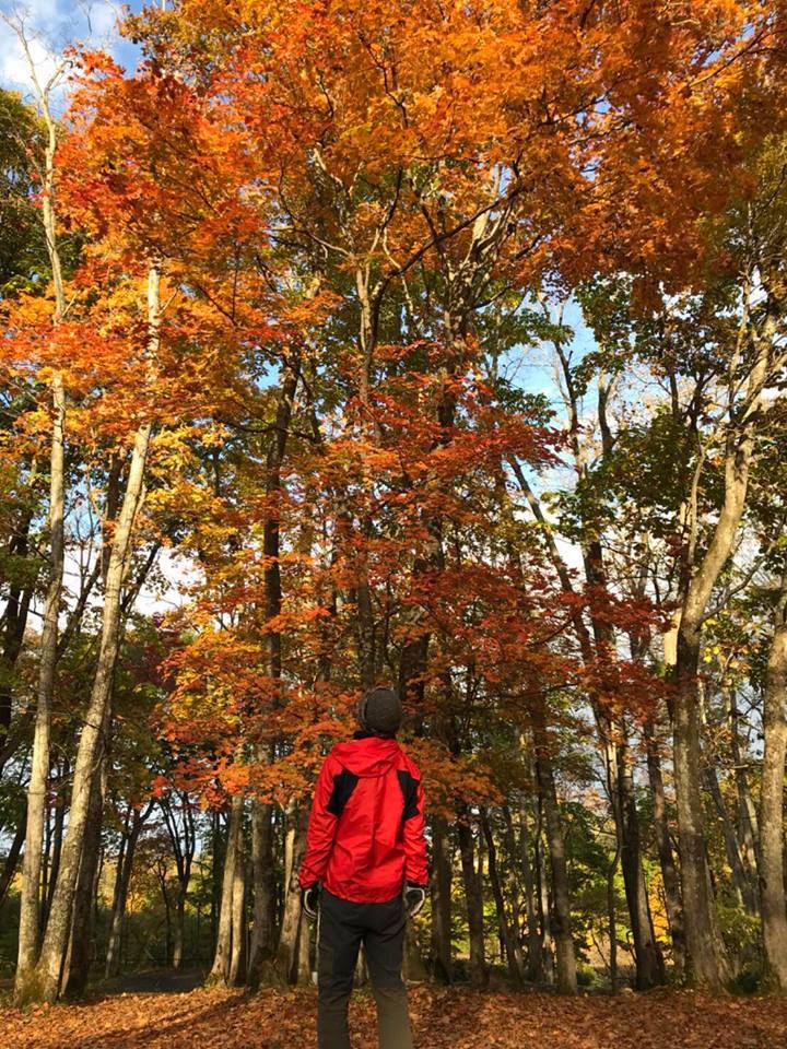 紅葉の中のキャンプ