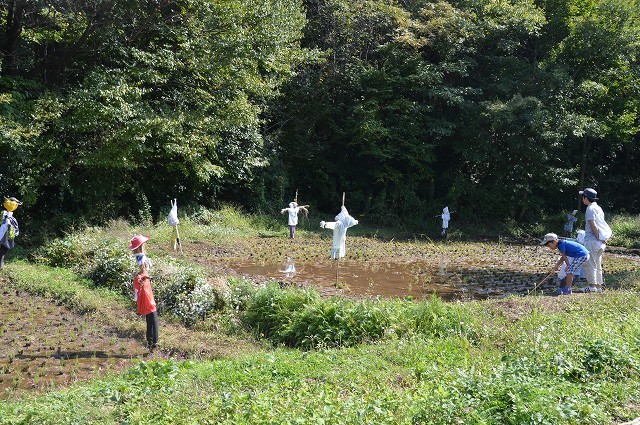 さいたま緑の森博物館 から 野山北・六道山公園へ 【 前編 】_c0124100_18265520.jpg