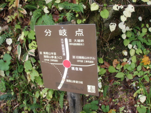 d0342206_15300393.jpg