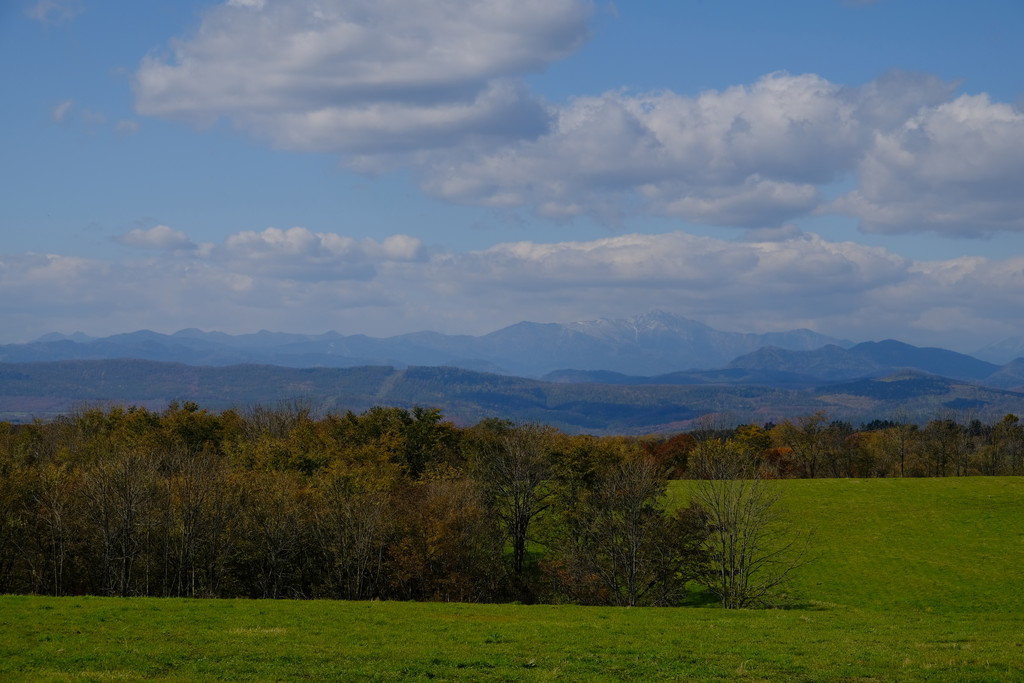 d0051707_17574828.jpg