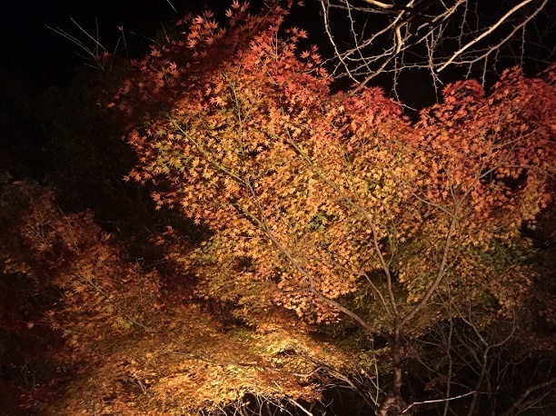 f0364707_13381926.jpg