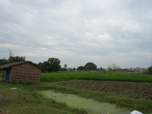 d0360509_115558.jpg