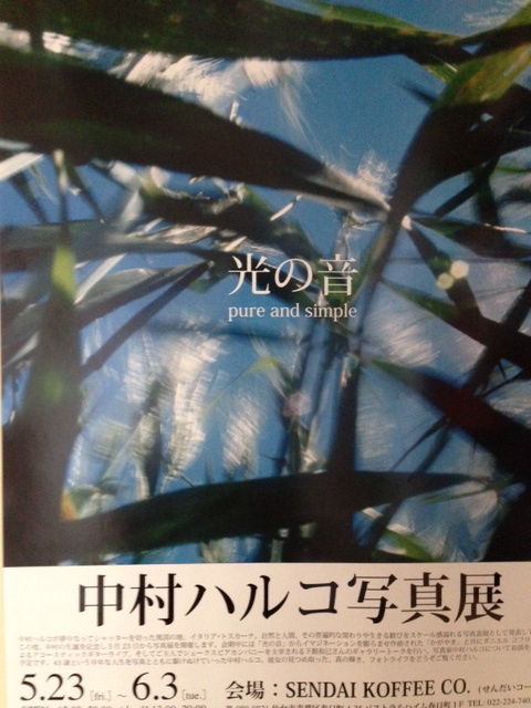 光の音 中村ハルコ 光の音 中村ハルコ 中村ハルコ 光の音 中村