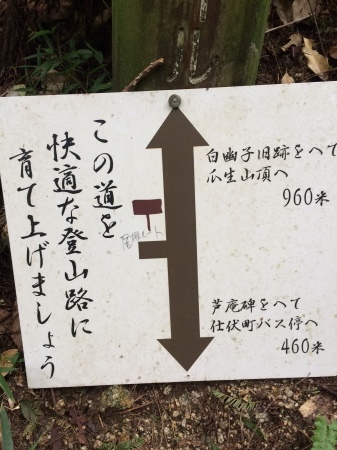 d0264710_08360816.jpeg