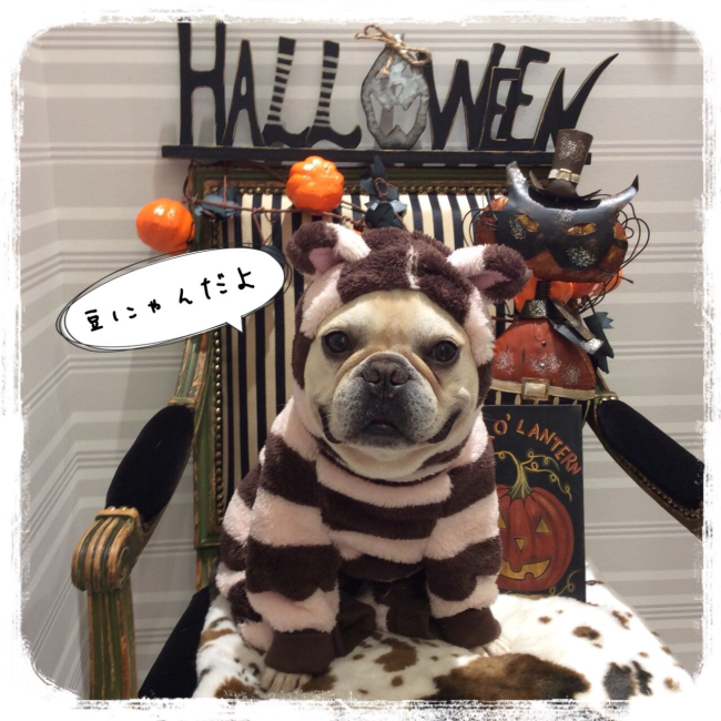 Happy Halloween＊マロニエゲート_f0170910_14373745.jpg