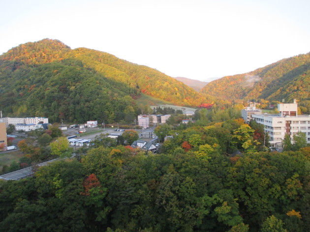 b0183111_09305999.jpg