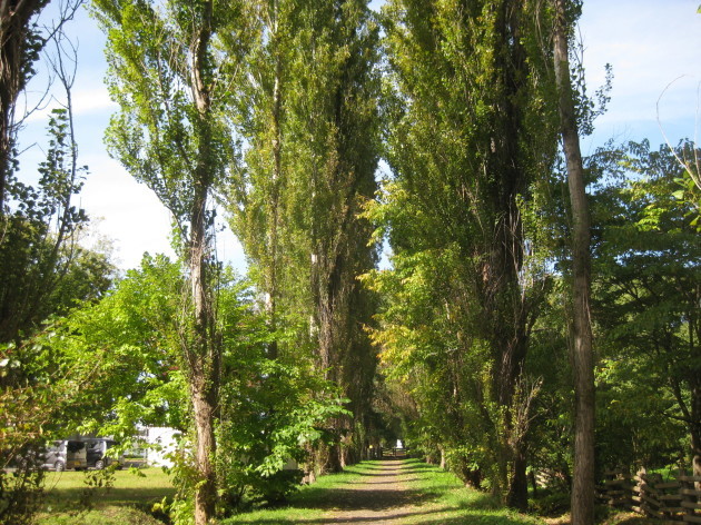 b0183111_10334243.jpg