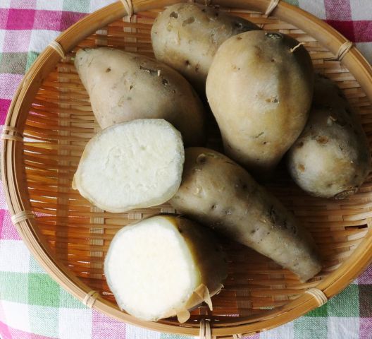 a0166324_17230904.jpg