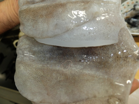 f0362524_17153842.jpg