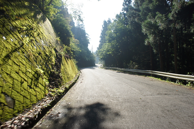 a0222229_8331456.jpg