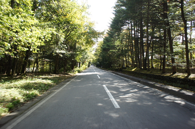a0222229_9415164.jpg
