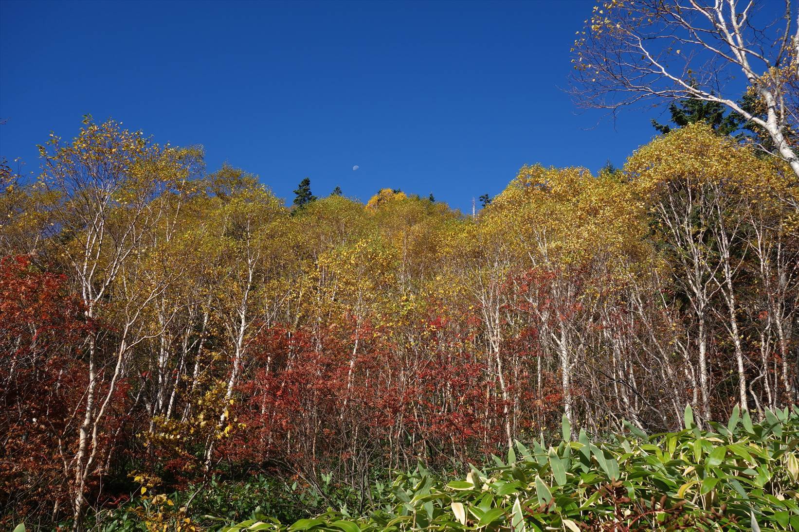 f0348933_16305200.jpg