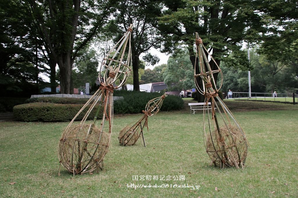 昭和記念公園に木を使ったオブジェが(^^♪_e0052135_17591221.jpg