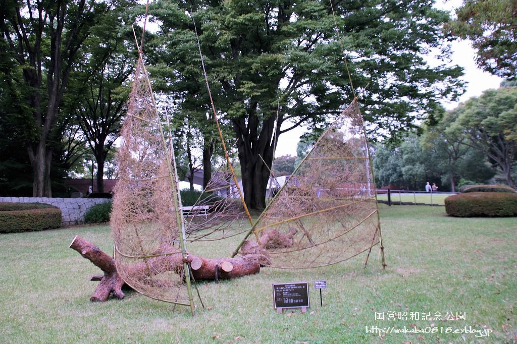 昭和記念公園に木を使ったオブジェが(^^♪_e0052135_17591755.jpg
