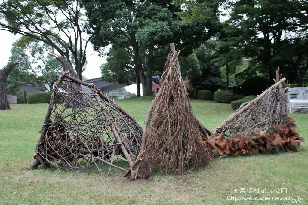 昭和記念公園に木を使ったオブジェが(^^♪_e0052135_17592191.jpg