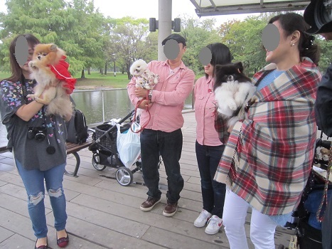 ポメラニアン秋のオフ会_b0177436_21252404.jpg