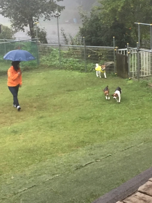 b0369239_13304041.jpeg