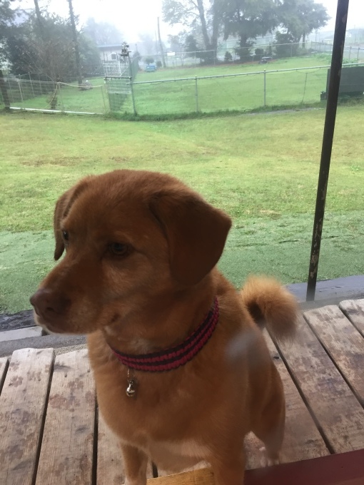 b0369239_13320543.jpeg