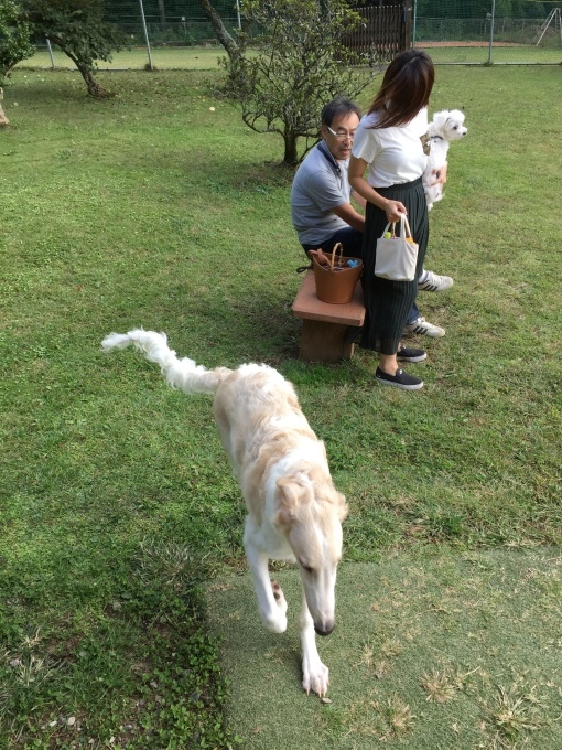 b0369239_13332375.jpeg