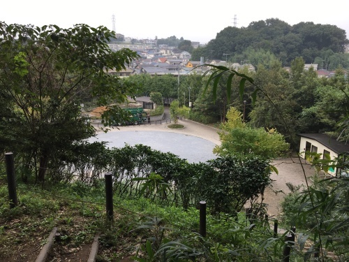 b0330040_14475125.jpeg