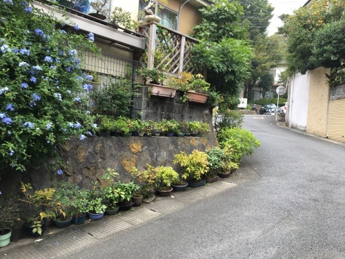 b0330040_14535323.jpeg