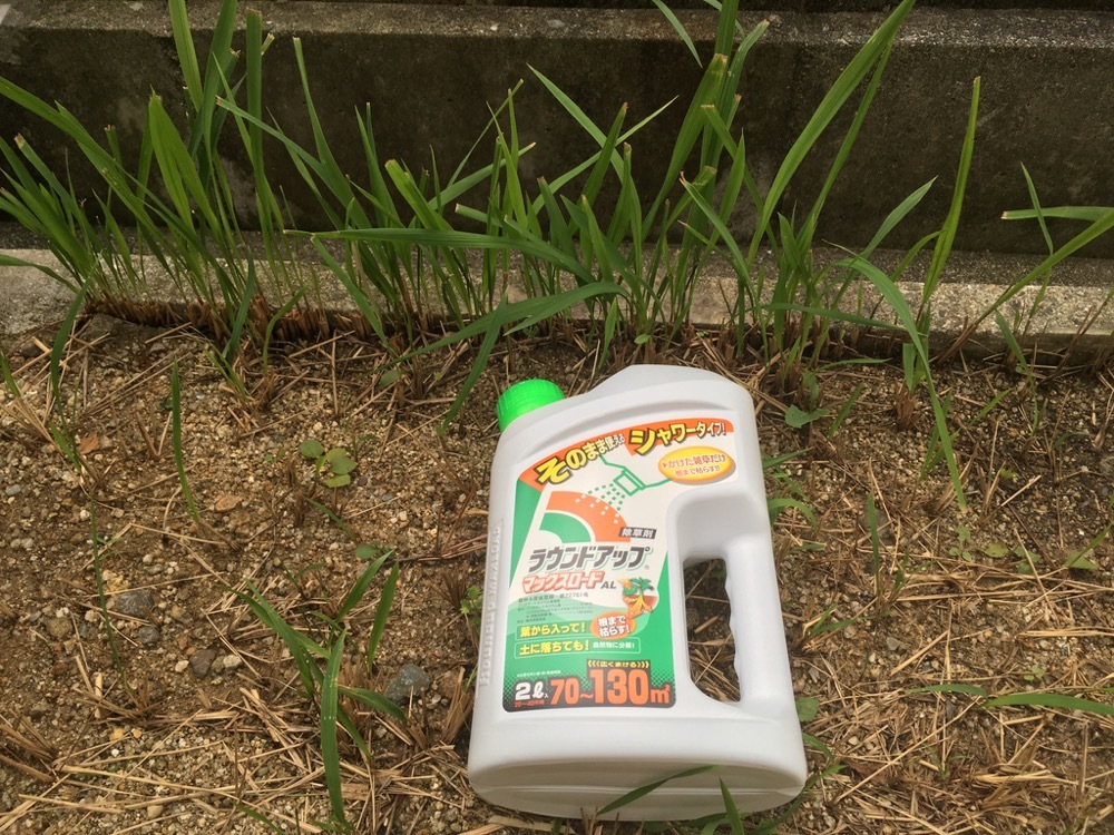 初めての除草剤 モンスとツバメ2 初めての除草剤 モンスとツバメ2