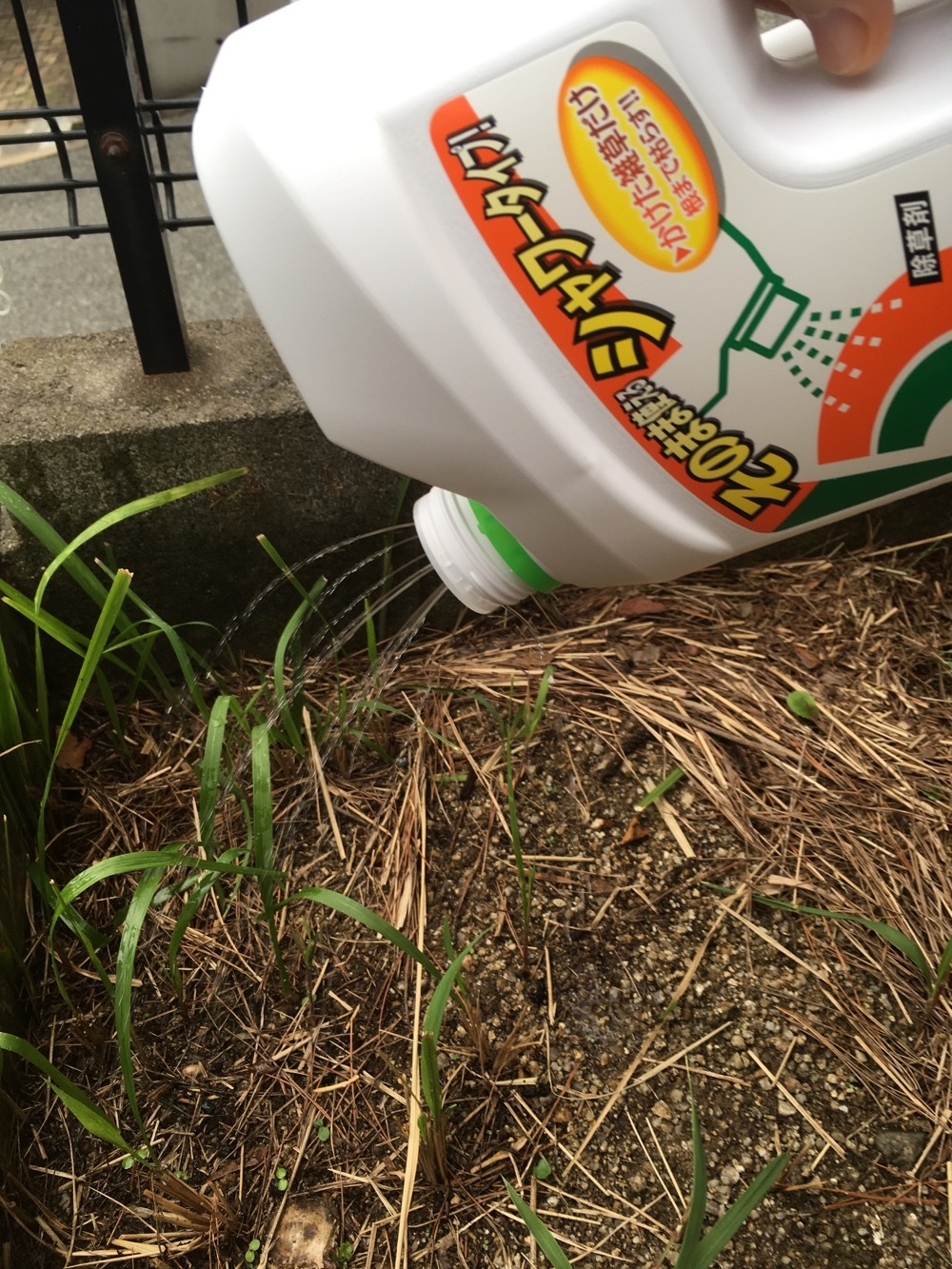 初めての除草剤 モンスとツバメ2 初めての除草剤 モンスとツバメ2