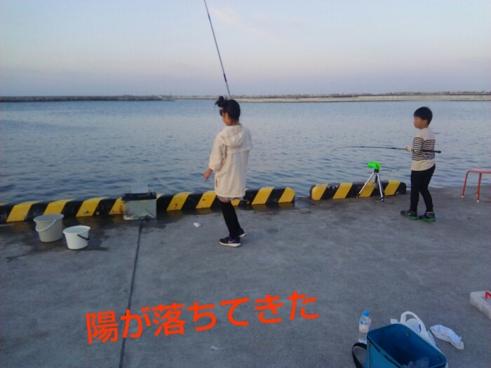 a0315448_15371136.jpg