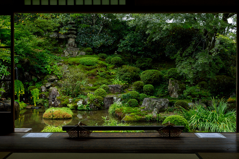 秋の花いっぱい（実光院）_f0155048_184324100.jpg