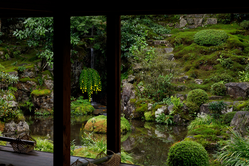 秋の花いっぱい（実光院）_f0155048_18434325.jpg